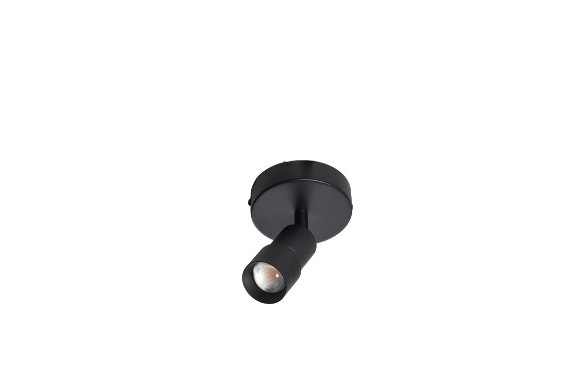 Surface mounted spot 1x led Liam black - orientable