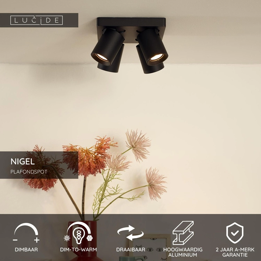 Ceiling spotlight Nigel 4-light black Lucide 5411212092595