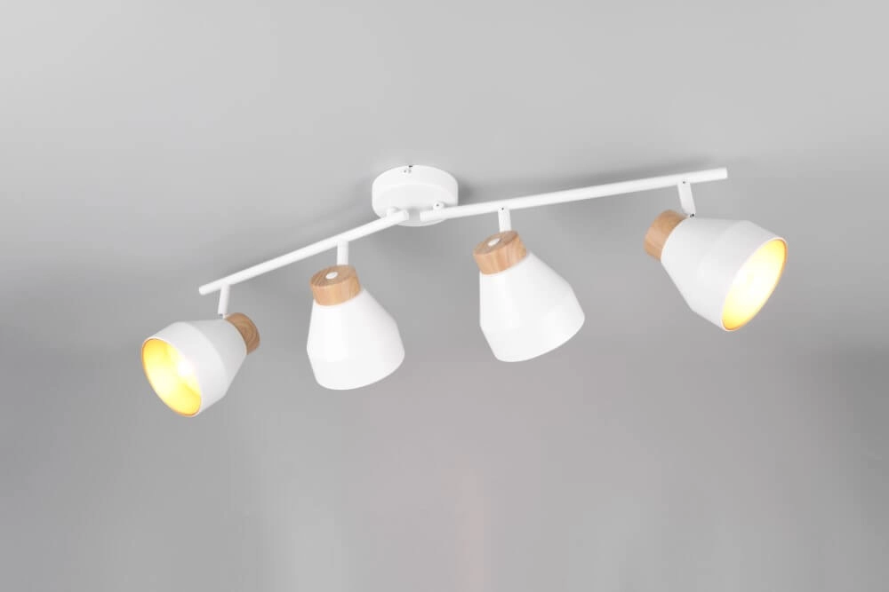 Design ceiling lamp 4-light Valentin white Trio 4017807637441