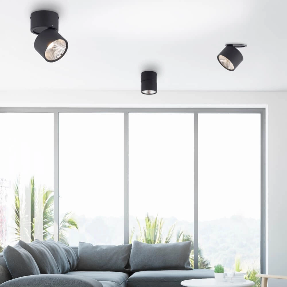 Surface-mounted spotlight Pure Nola black Paul Neuhaus 4012248371992