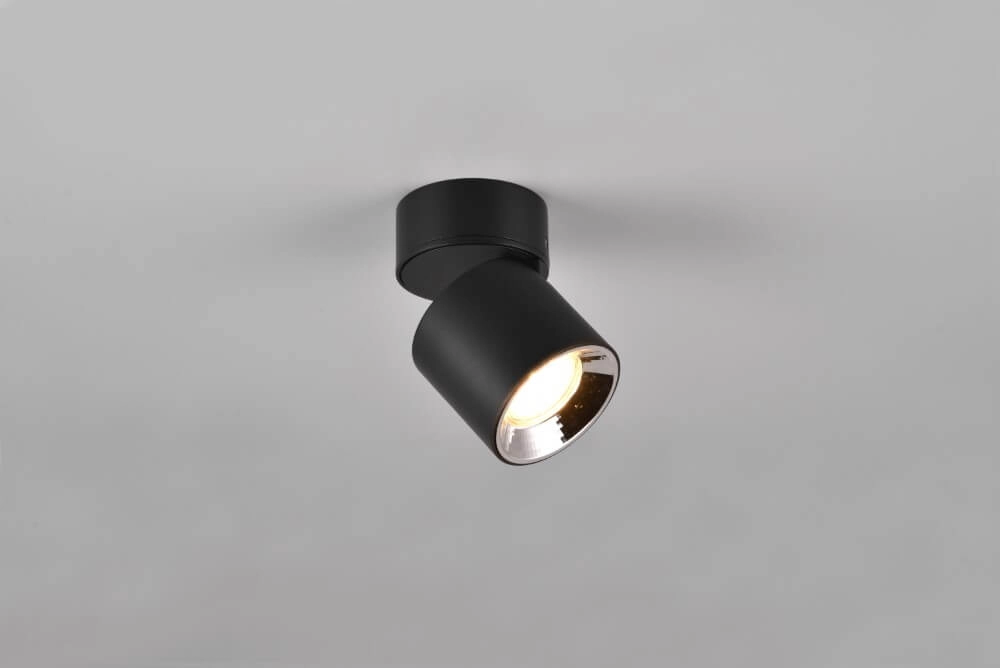 Ceiling light Guayana black Trio 4017807573930