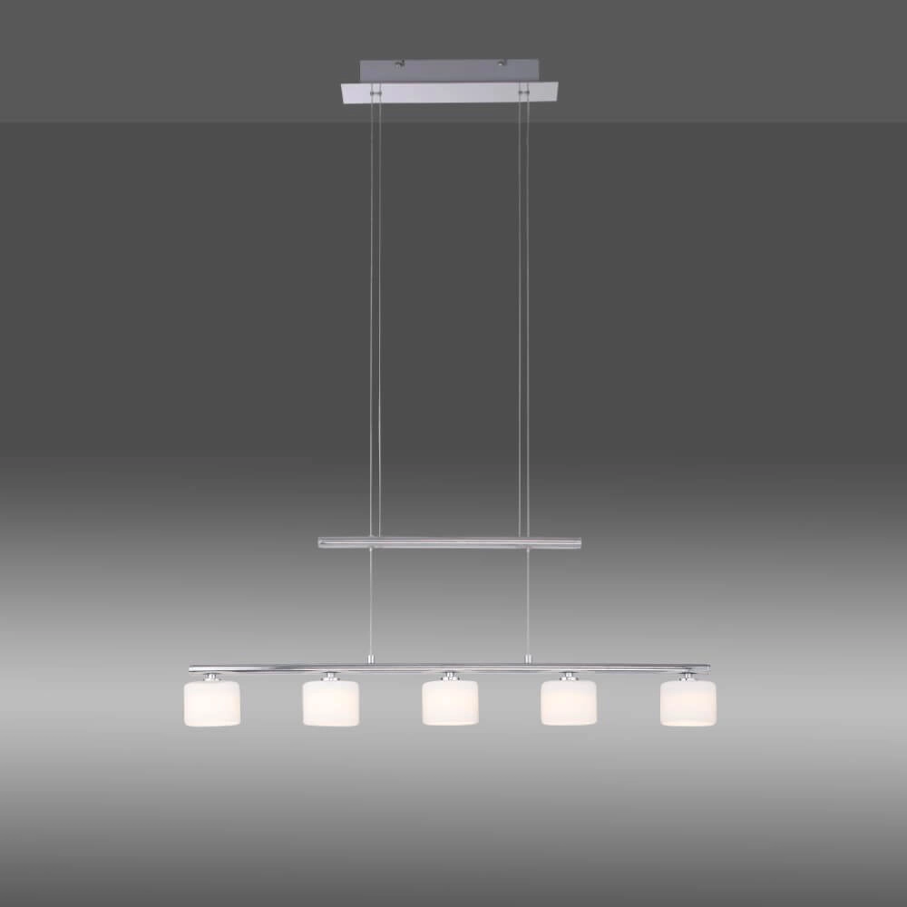 5-light pendant lamp Hydra metal Paul Neuhaus 4012248364963