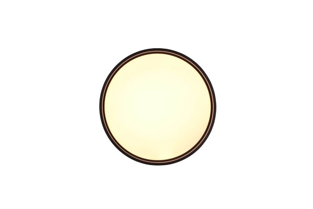 White with black ceiling lamp Doha Trio 4017807575002