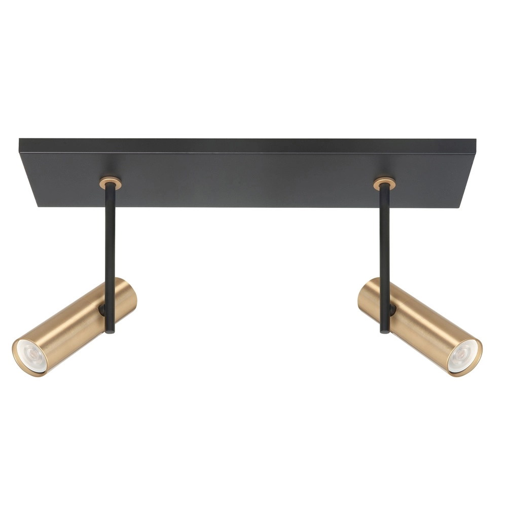 Black spot Trend with brass 2-light straight