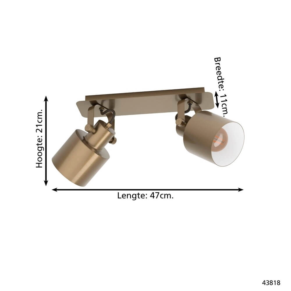 Brass ceiling spot Southery 2-light Eglo 9002759438180