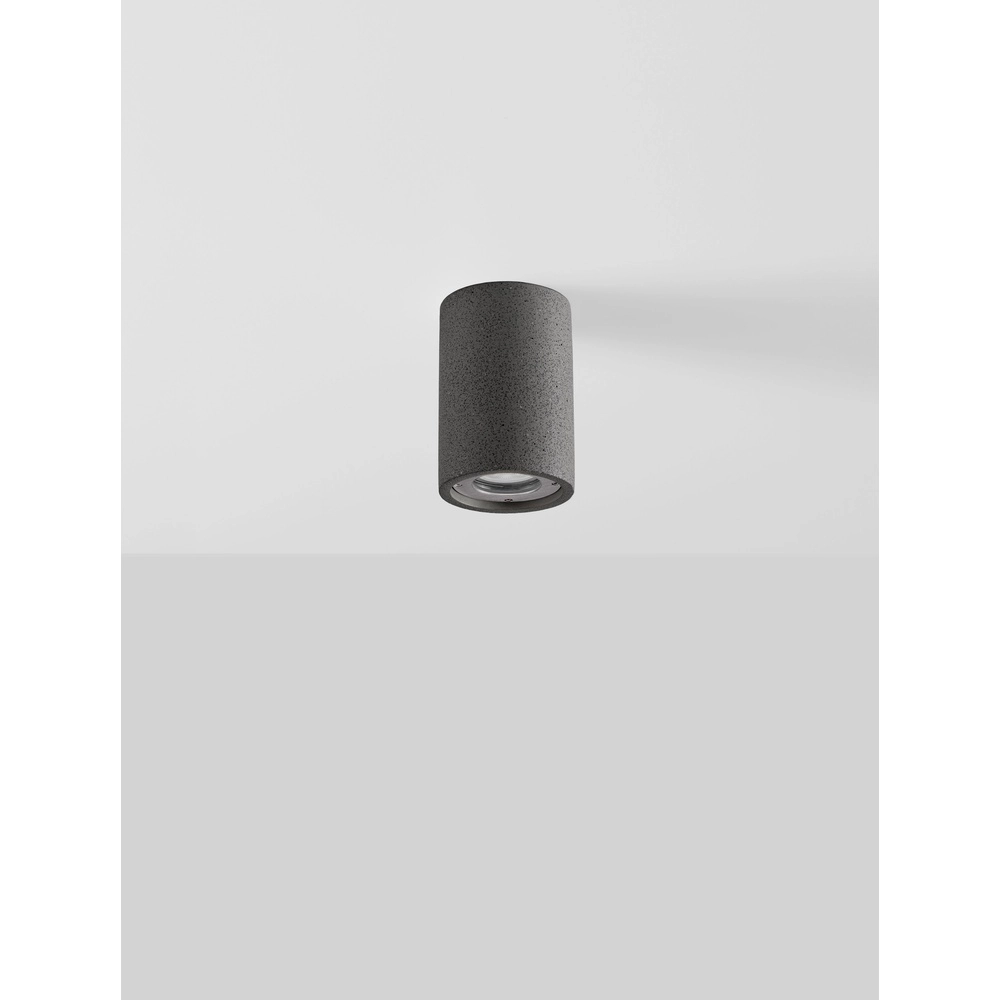 Ceiling spotlight Par black concrete Lyora 5212017469069