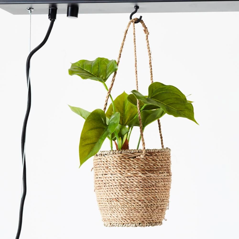 Pendant lamp Bankwood 80cm Brilliant 4004353396588