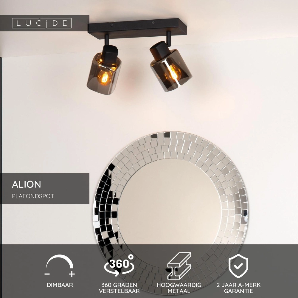 Ceiling lamp Alion 2-light black with smoke glass Lucide 5411212176998