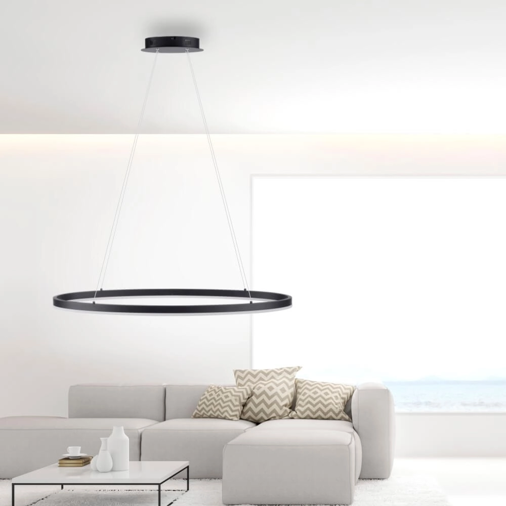 Anthracite pendant lamp Titus Ø 80cm Paul Neuhaus 4012248375211