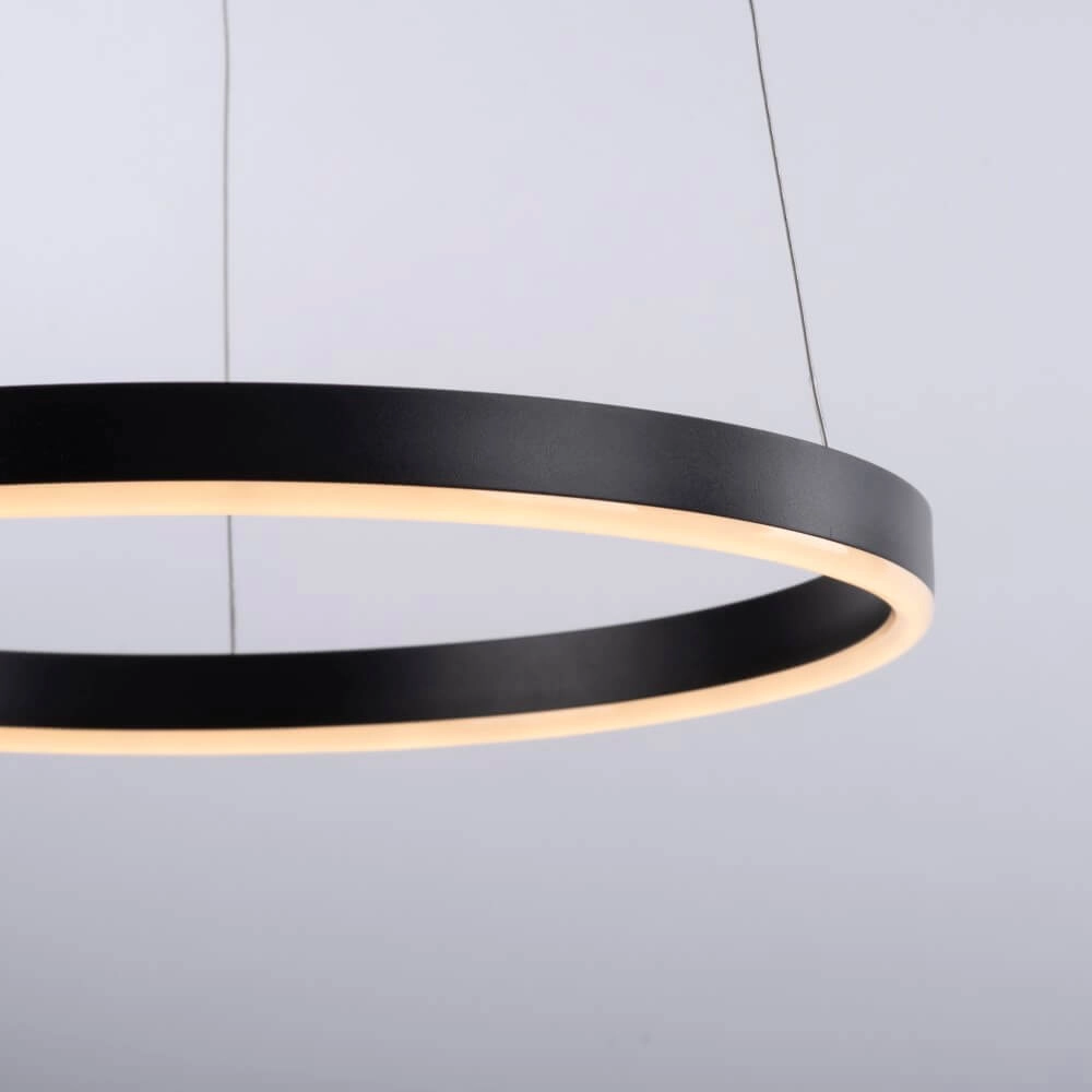 Black LED hanging lamp Ritus Ø 40cm Paul Neuhaus 4043689983949
