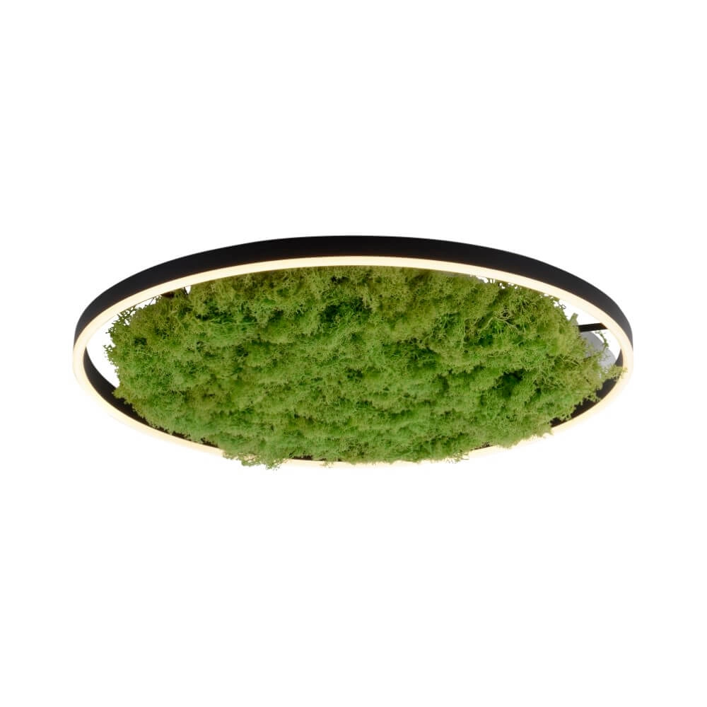 Ceiling lamp Green Ritus with moss Ø 58,5cm Just Light 4043689994808