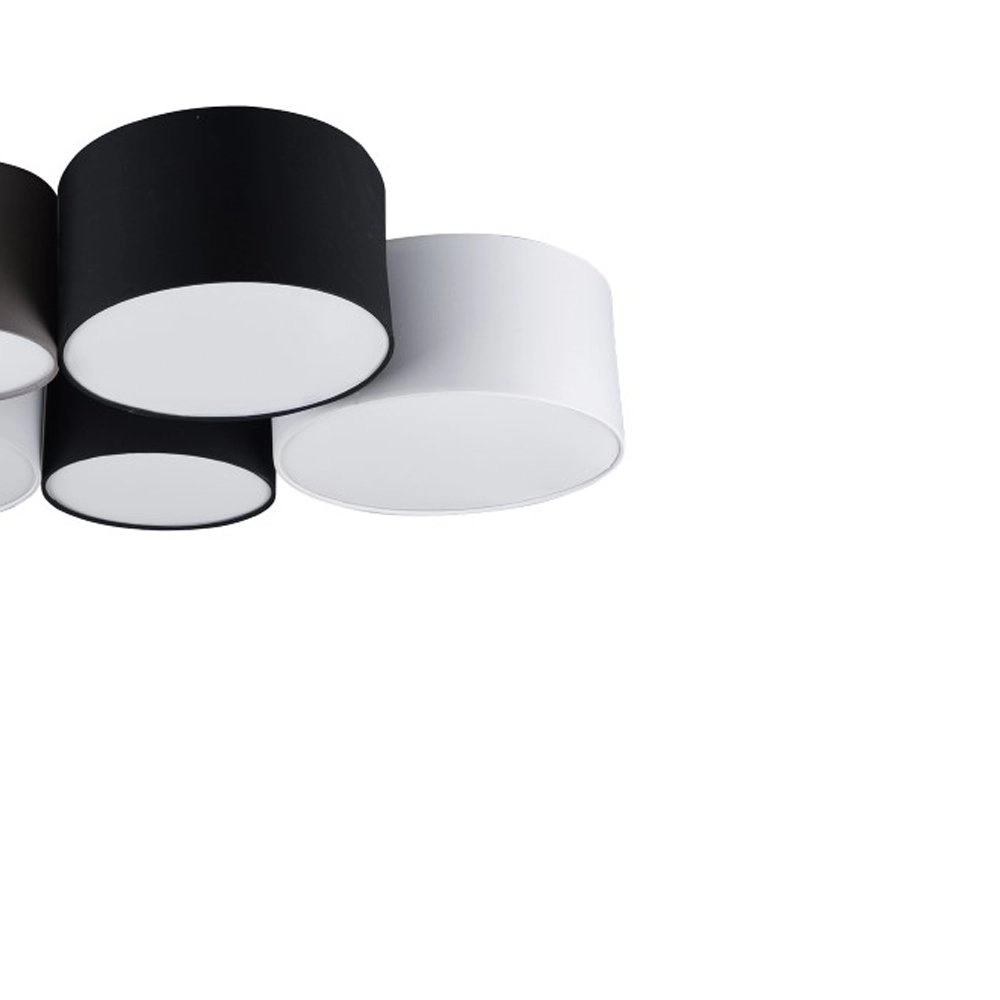 Ceiling light Hotel multicolor Trio 4017807399547