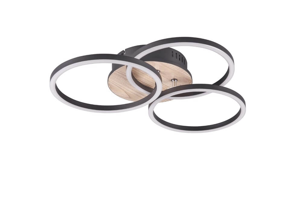Ceiling light Circle Ø 43.5cm Trio 4017807561234