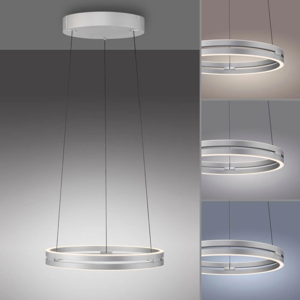 Sleek hanging lamp Pure E-Loop aluminum Paul Neuhaus 4012248372272