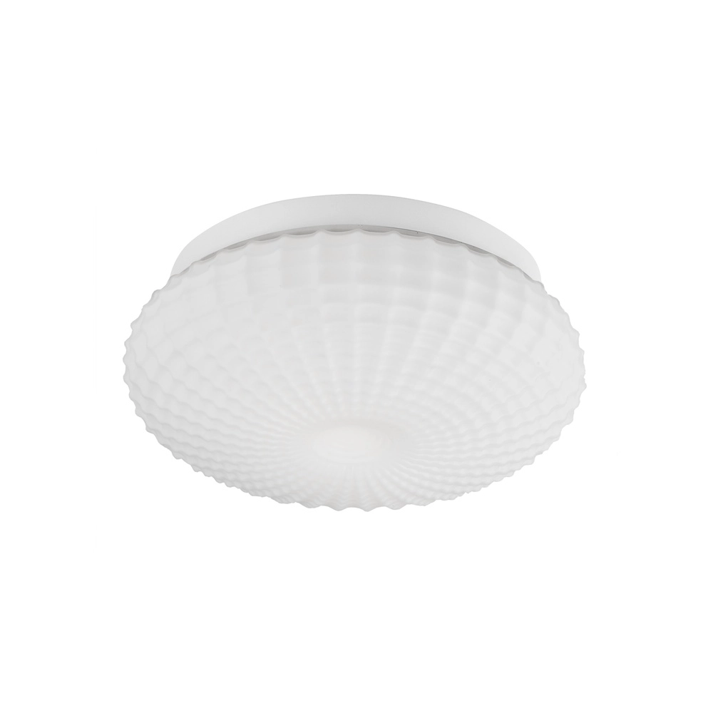 Ceiling lamp Clam white glass Lyora 5212017419460