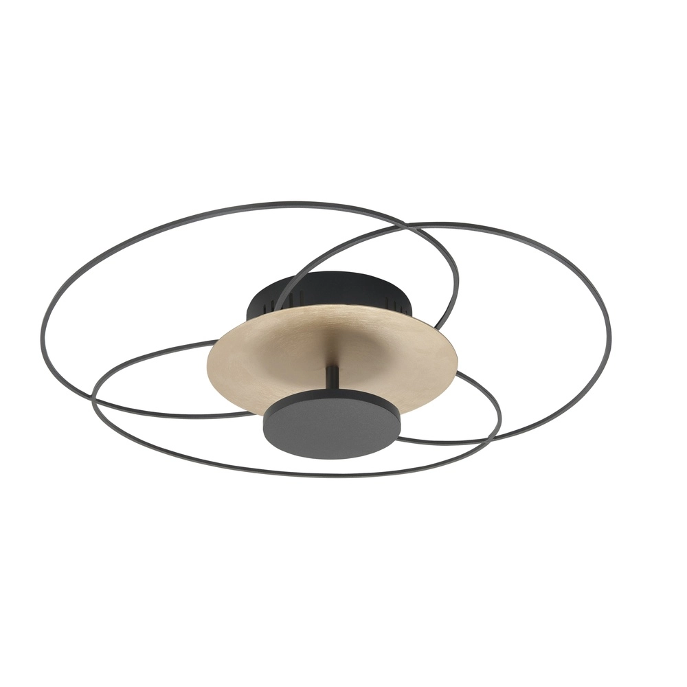 Ceiling lamp Fiore black with gold