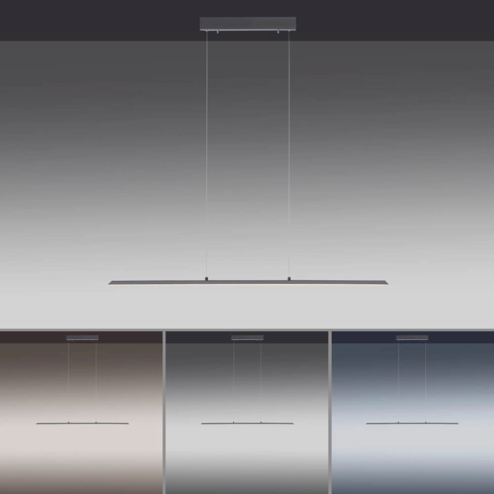 Design hanging lamp Pure Lite 100cm anthracite Paul Neuhaus 4012248344873