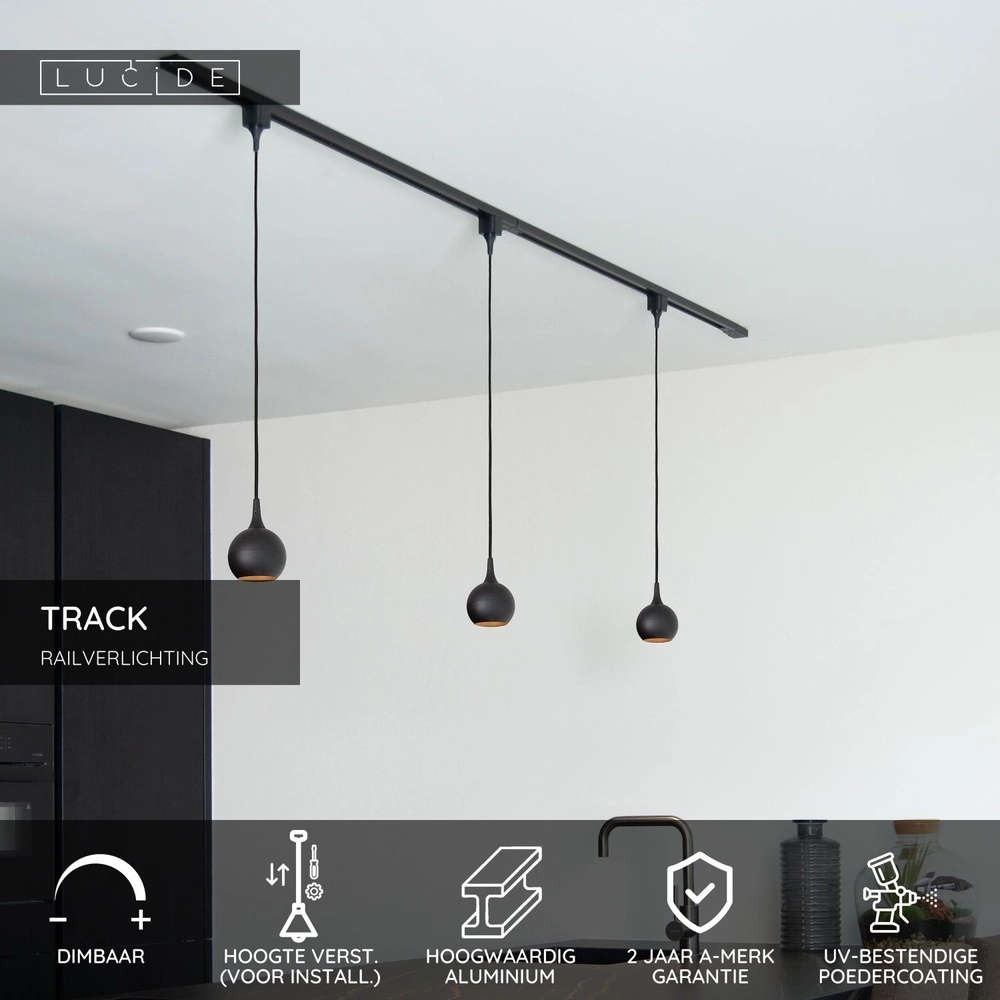 Rail pendant light Track Favori 1-phase black Lucide 5411212093387