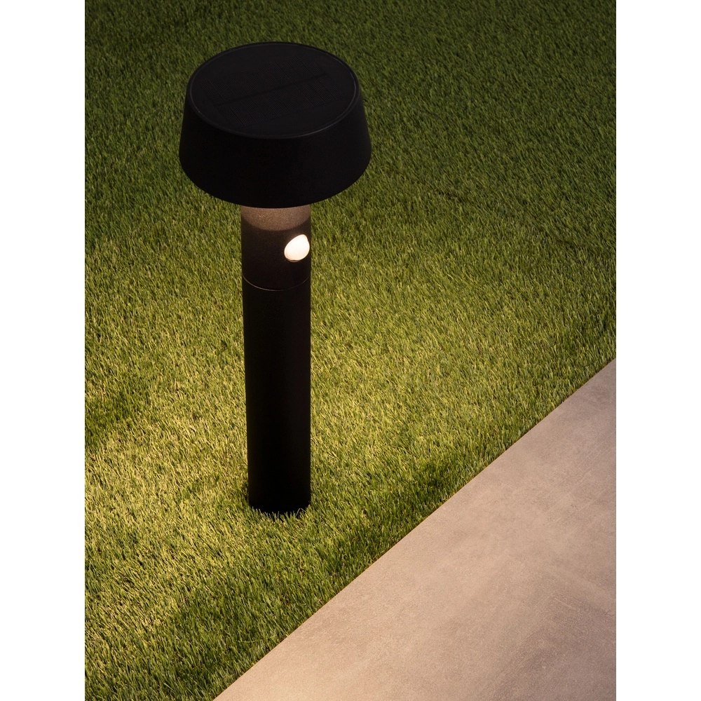 Solar garden lamp Chiaro 50cm