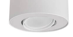 White surface-mounted spotlight Set orientable Lyora 5903139889599