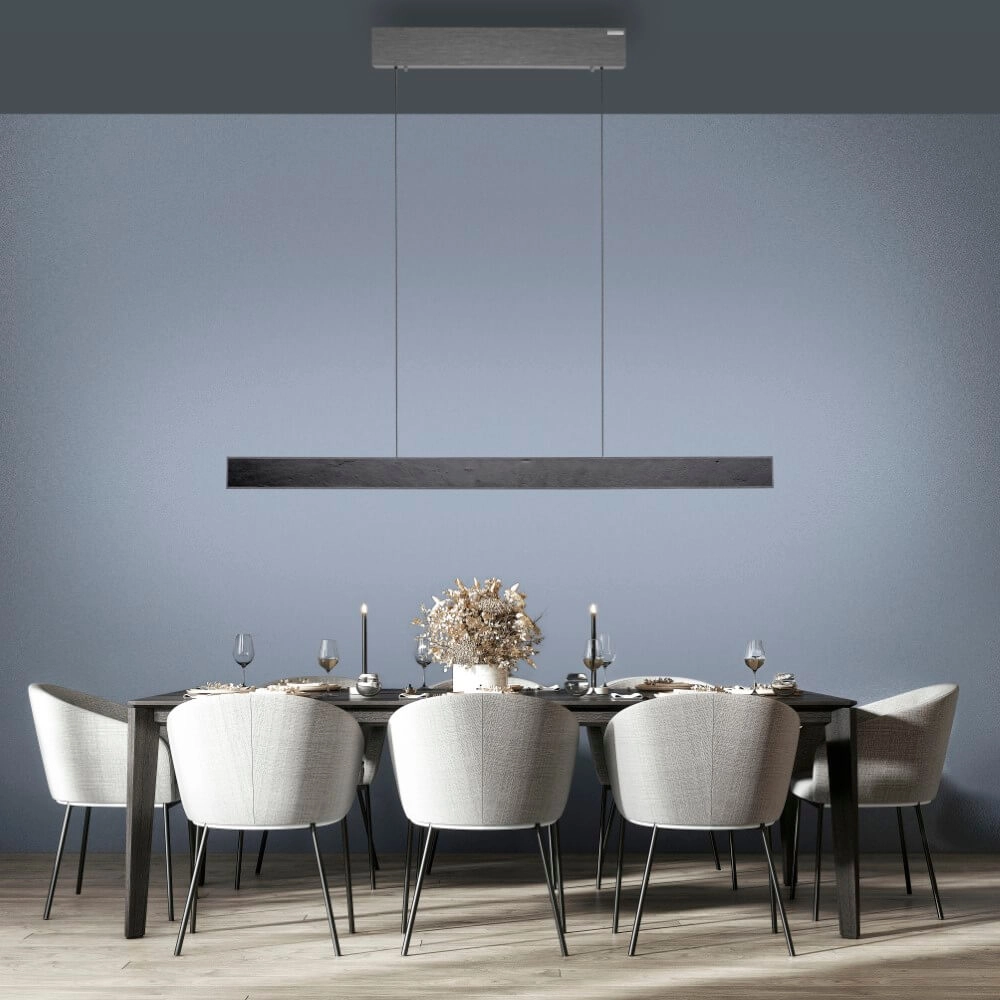 Design hanging lamp Pure E-Motion cartridge Paul Neuhaus 4012248386255