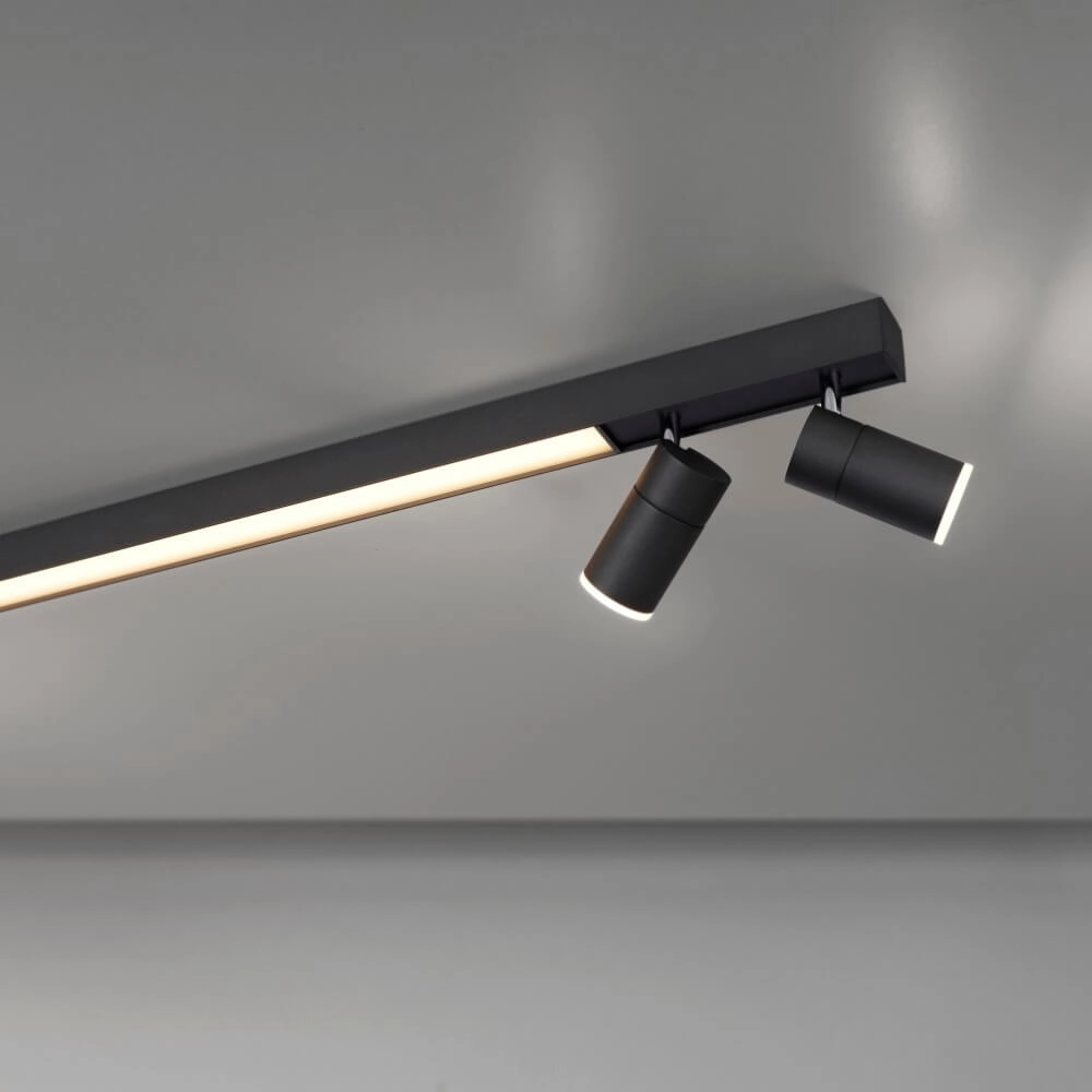 Sleek ceiling lamp Pure Lines Spot anthracite Paul Neuhaus 4012248366349