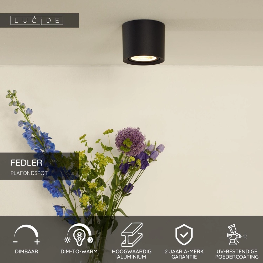 Ceiling spot Ø 12cm Fedler GU10 ES111 black Lucide 5411212092120