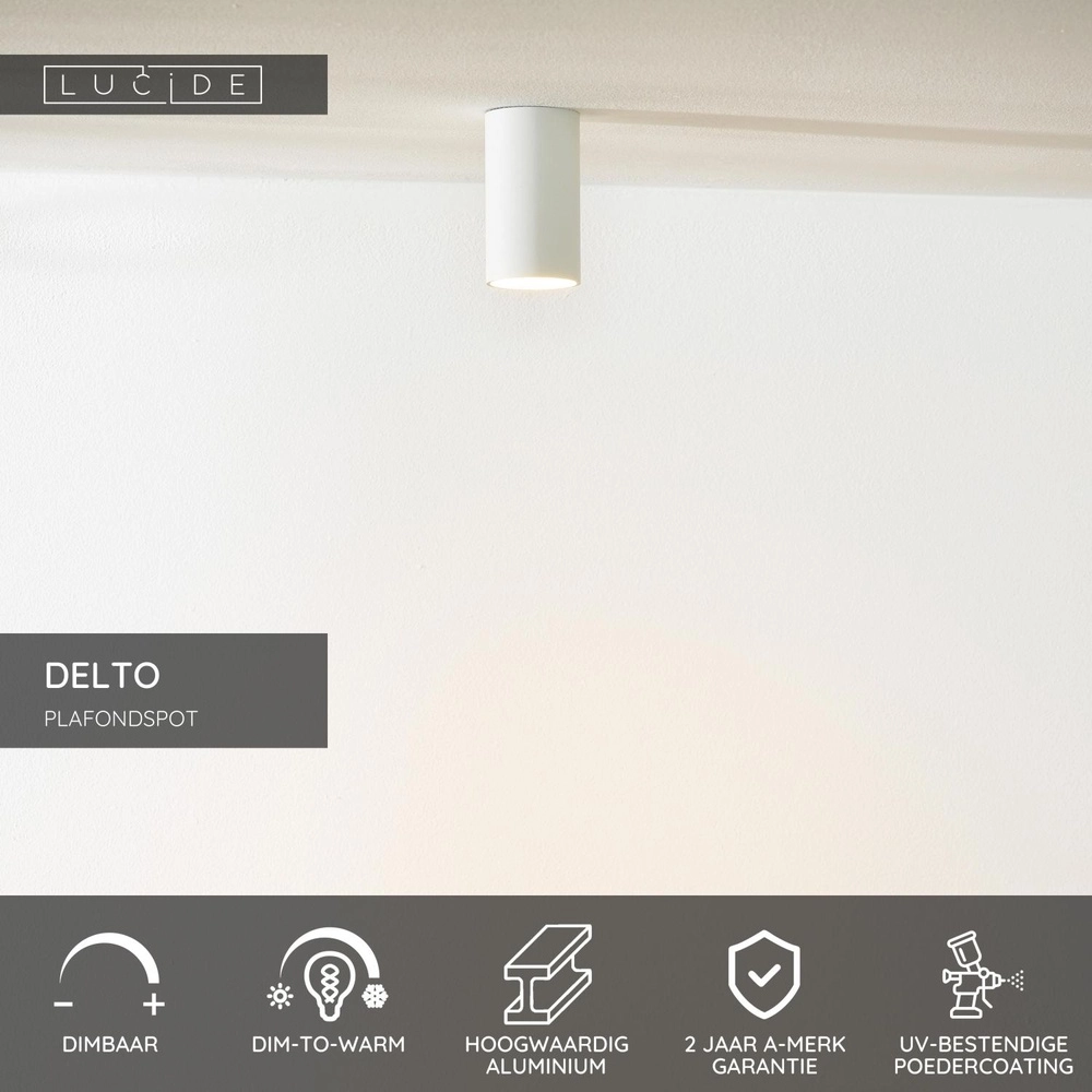 Sleek surface-mounted spot Delto white Ø 5.5cm incl light source Lucide 5411212092366