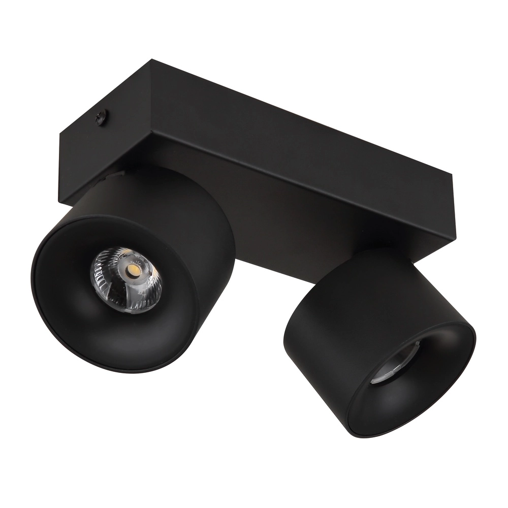 Sleek ceiling lamp Rae 2-light black Globo 9007371447640