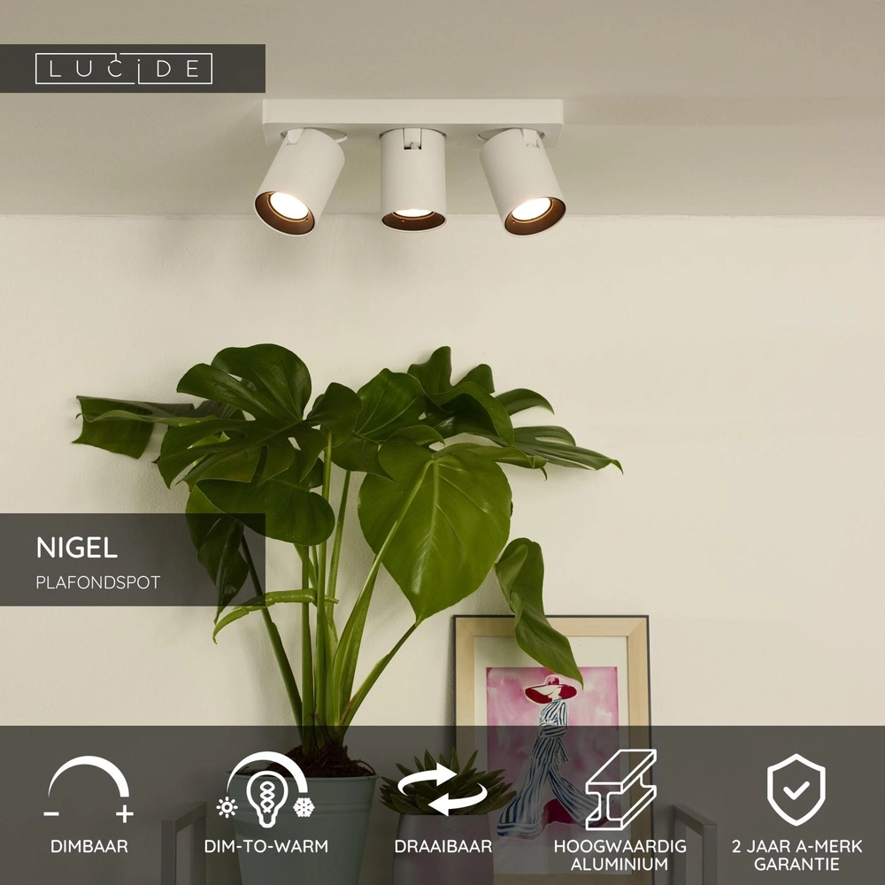 Ceiling spotlight Nigel 3-light white Lucide 5411212092588