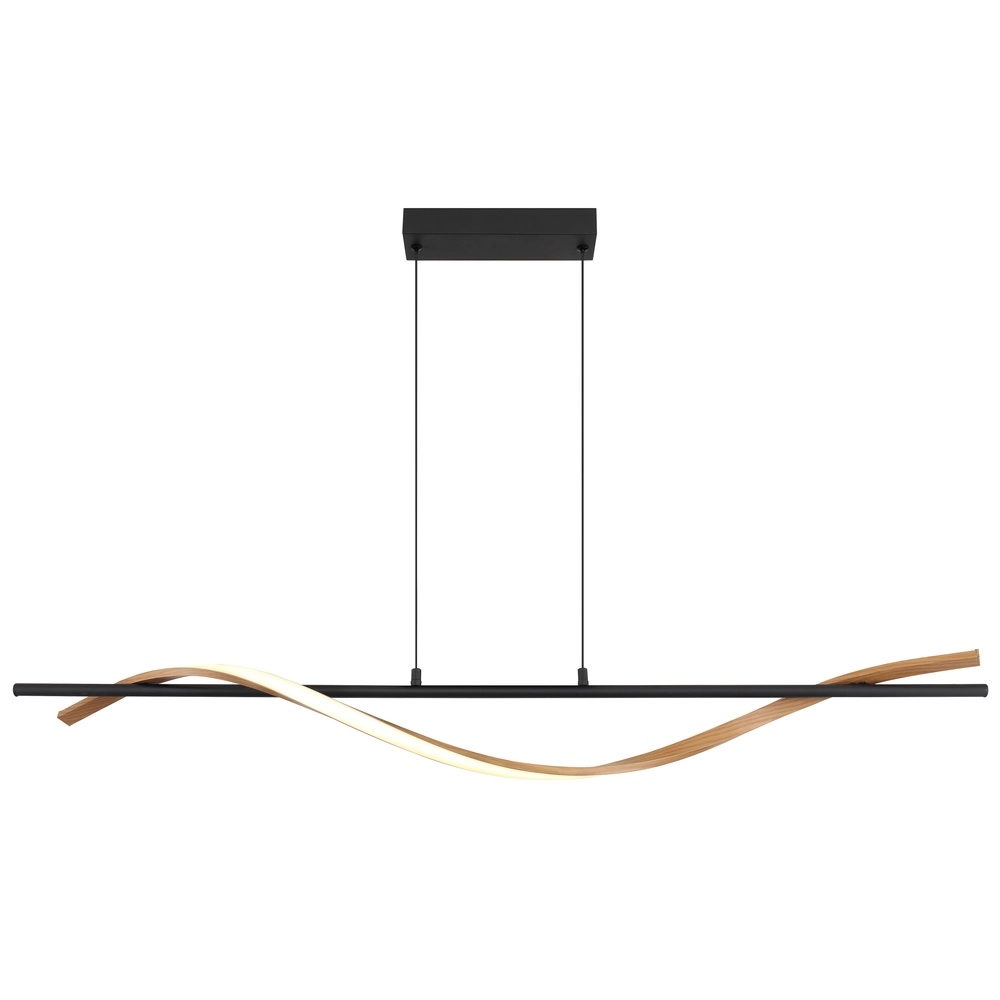 Design pendant lamp Watkins Black Globo 9007371533749