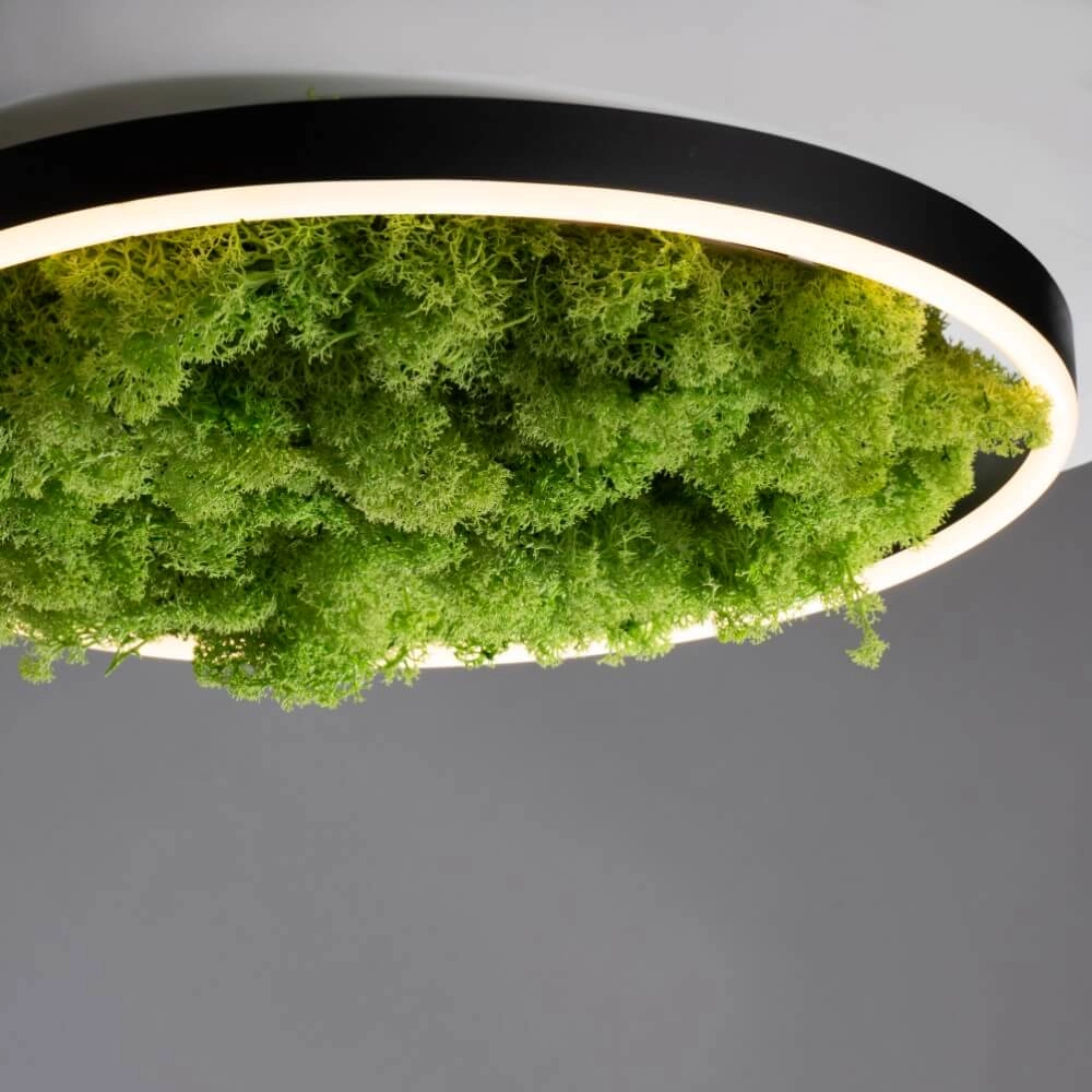 Ceiling lamp Green Ritus with moss Ø 39,3cm Just Light 4043689994792