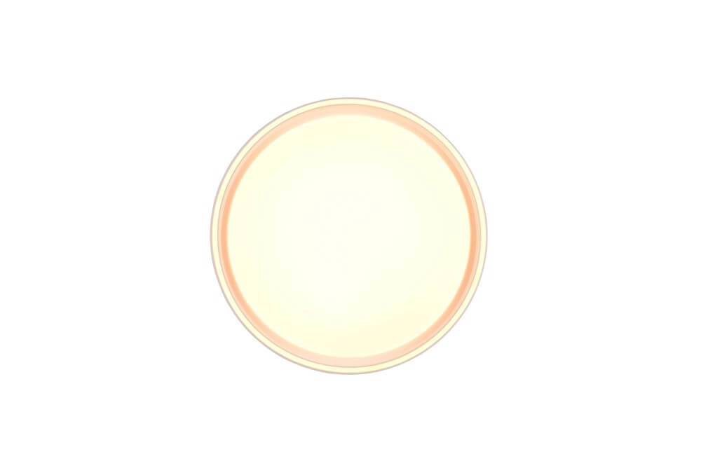 Ceiling light Felis with remote control Trio 4017807588064