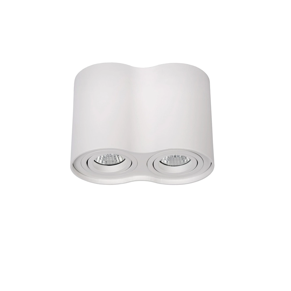Surface-mounted ceiling spot Tube 2-light white