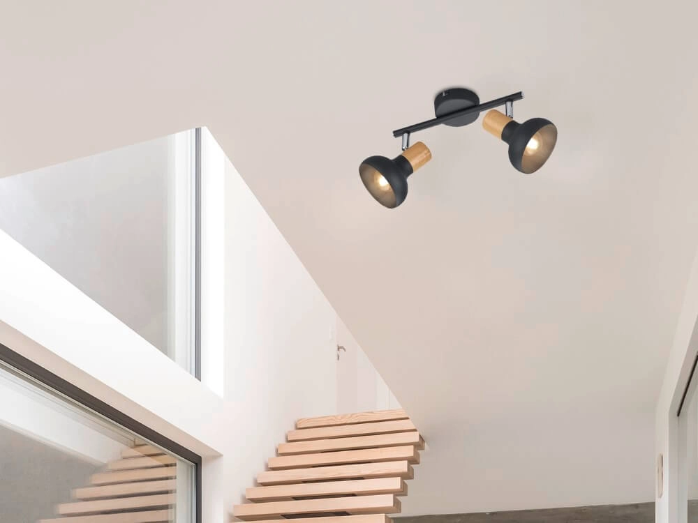 Ceiling light Latika 2-light black Trio 4017807576986