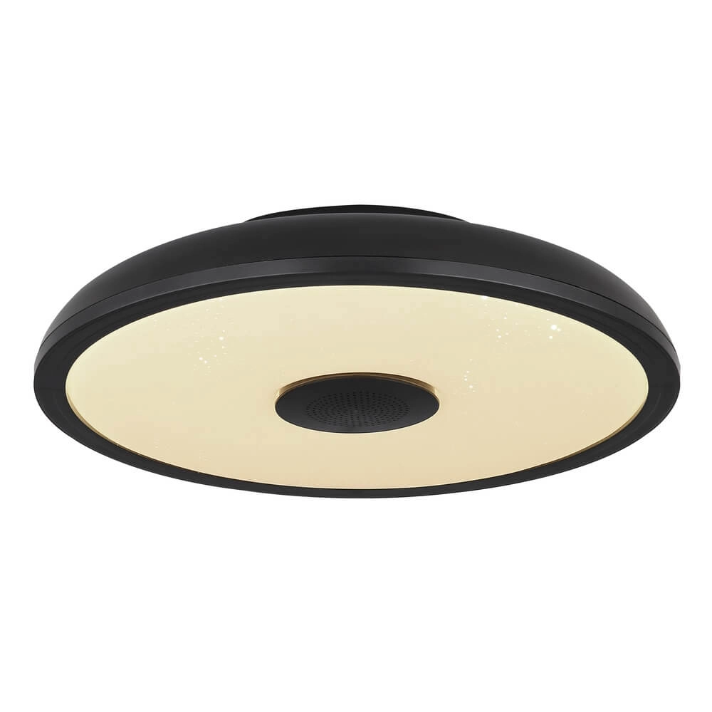 Black ceiling light Raffy Ø 28cm