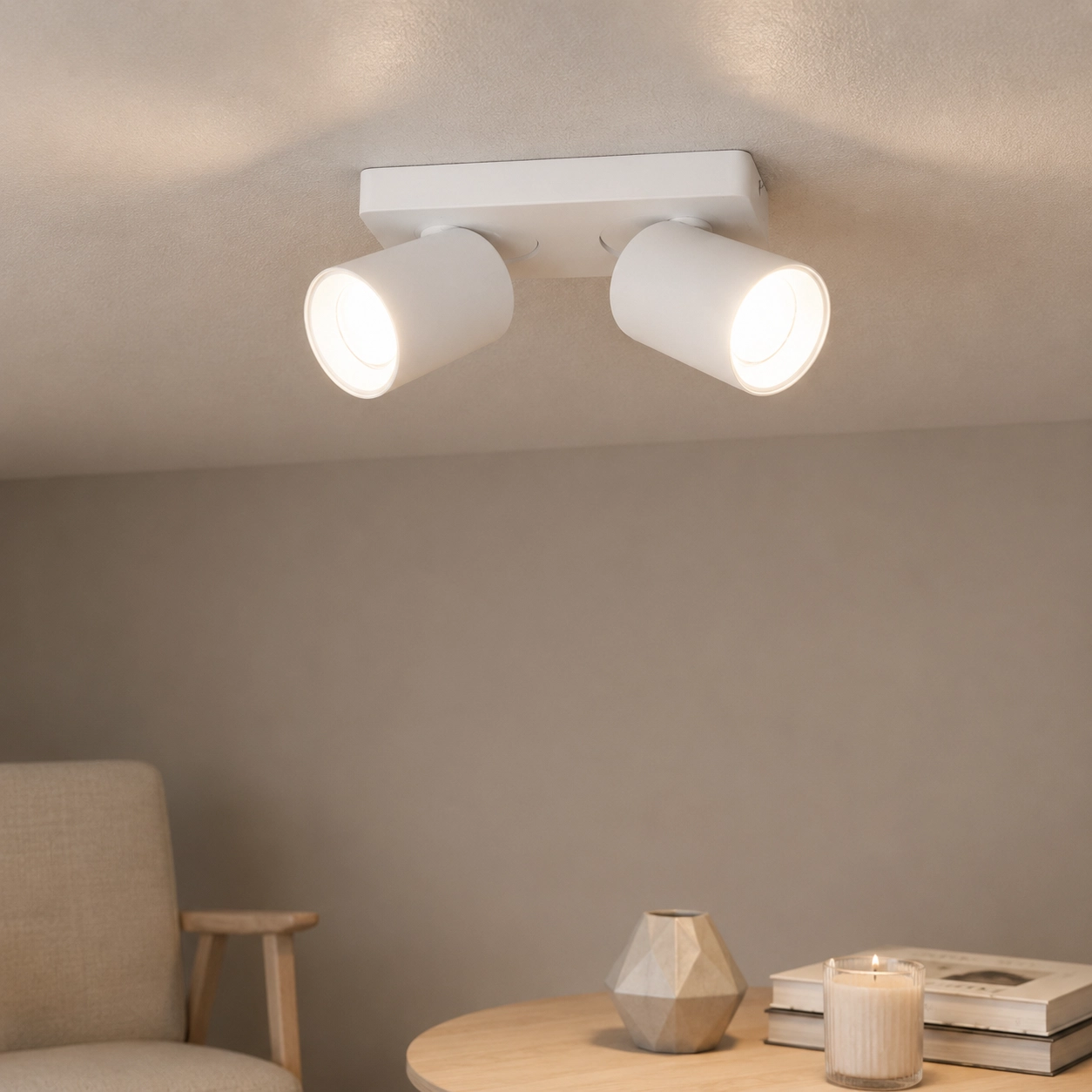 Double surface-mounted spot Megano