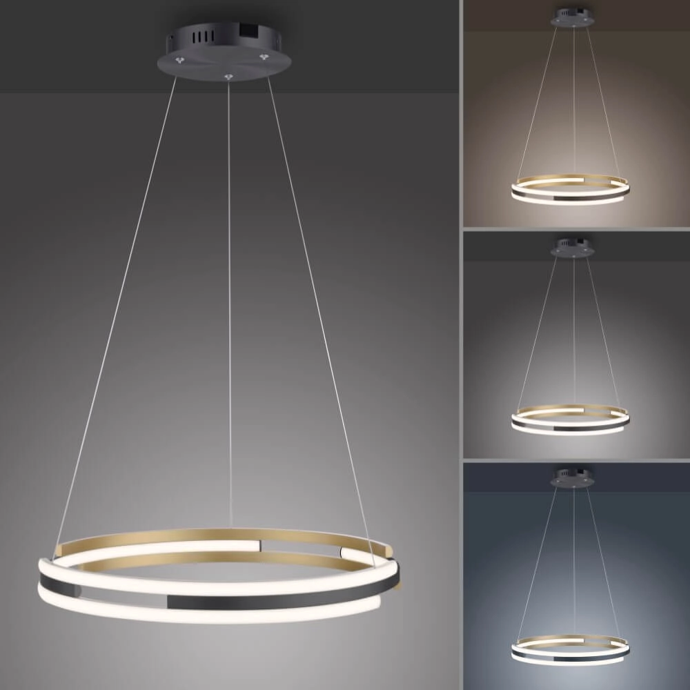Design pendant lamp Q-Beluga 60cm Paul Neuhaus 4012248374641