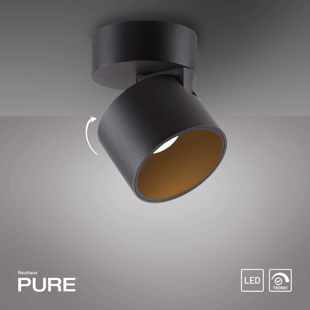 Sleek surface-mounted spot Pure Cup black pearl Paul Neuhaus 4012248395585
