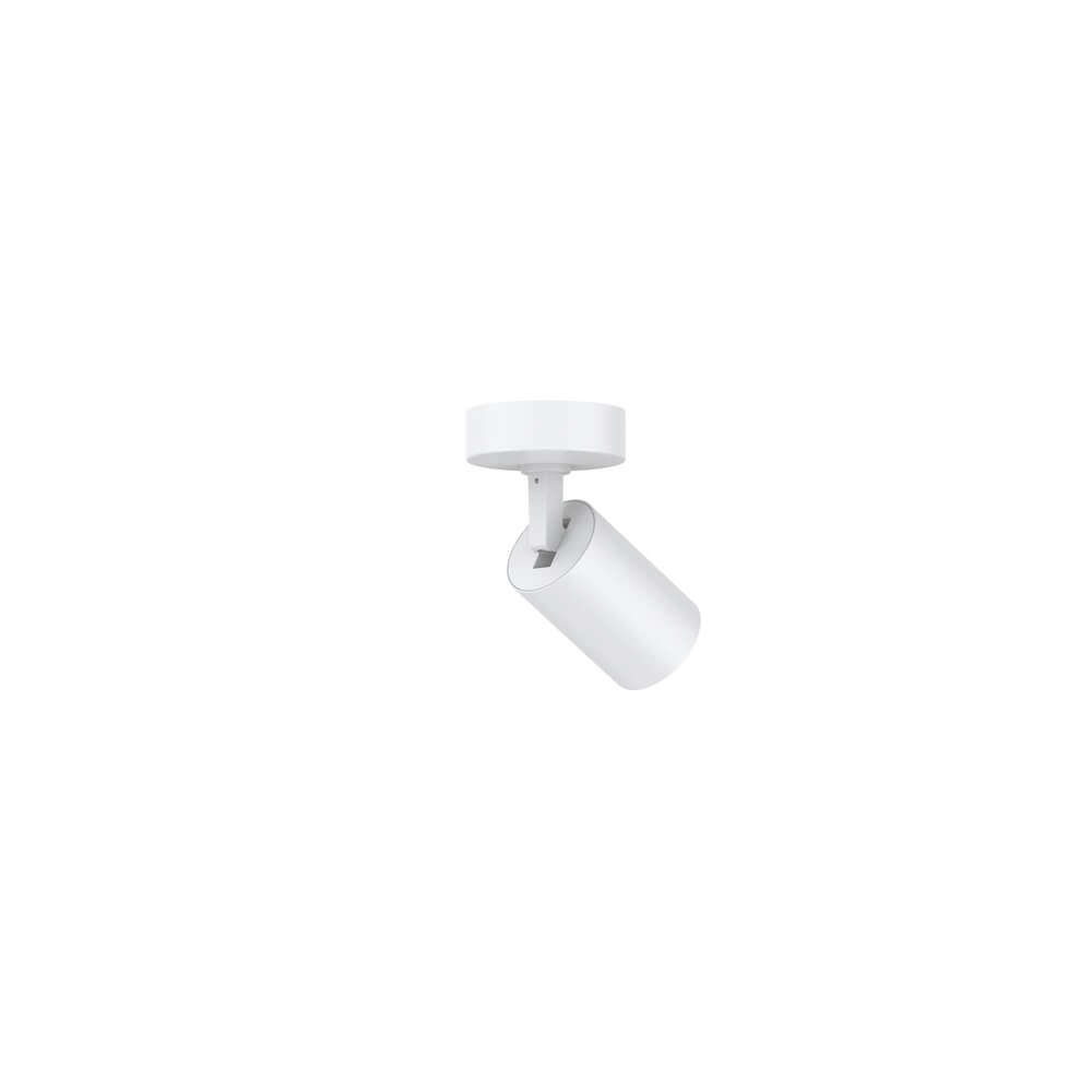 Single surface-mounted spotlight Tevo white Lyora 4255805301029