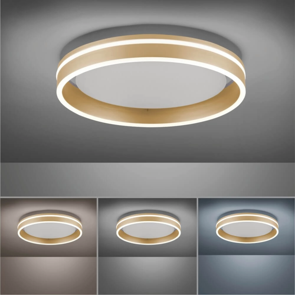 Ceiling lamp Q-Vito Ø 40cm brass Paul Neuhaus 4012248333860