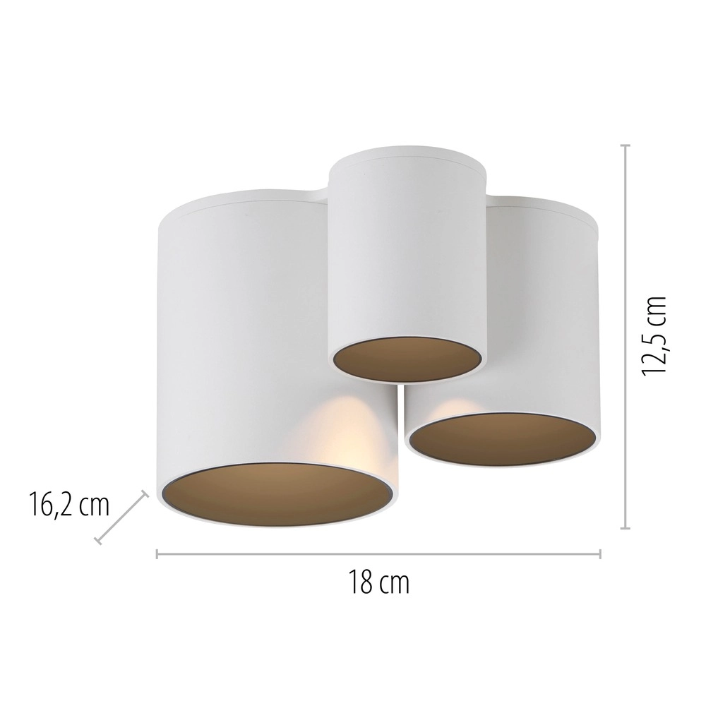 3L ceiling light Pure Point white Paul Neuhaus 4012248395707