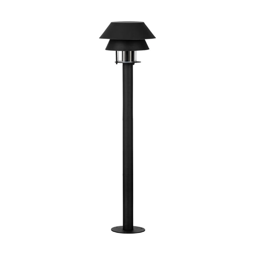 Black lantern Chiappera