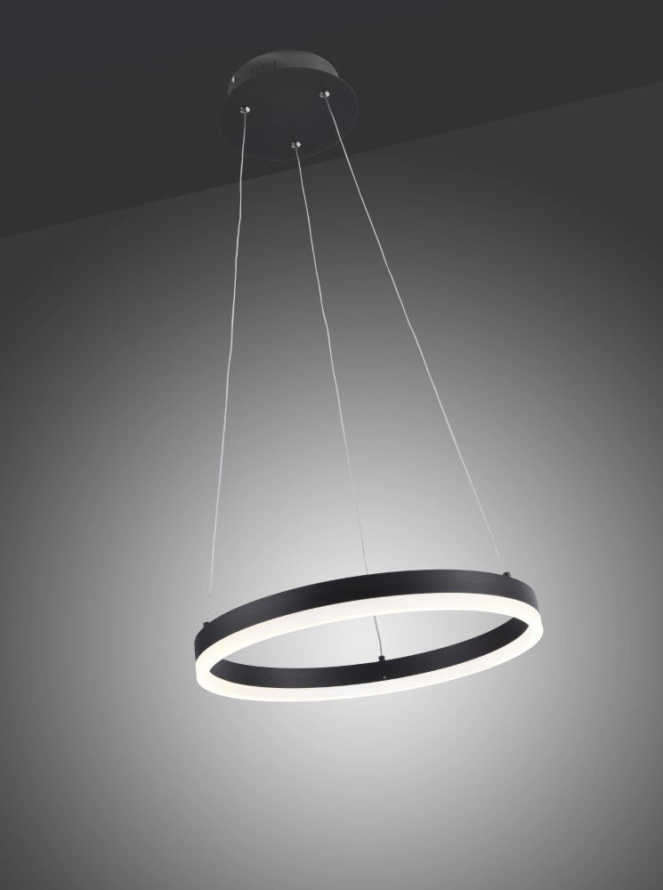 Black hanging lamp Titus Ø 40cm Paul Neuhaus 4012248305140