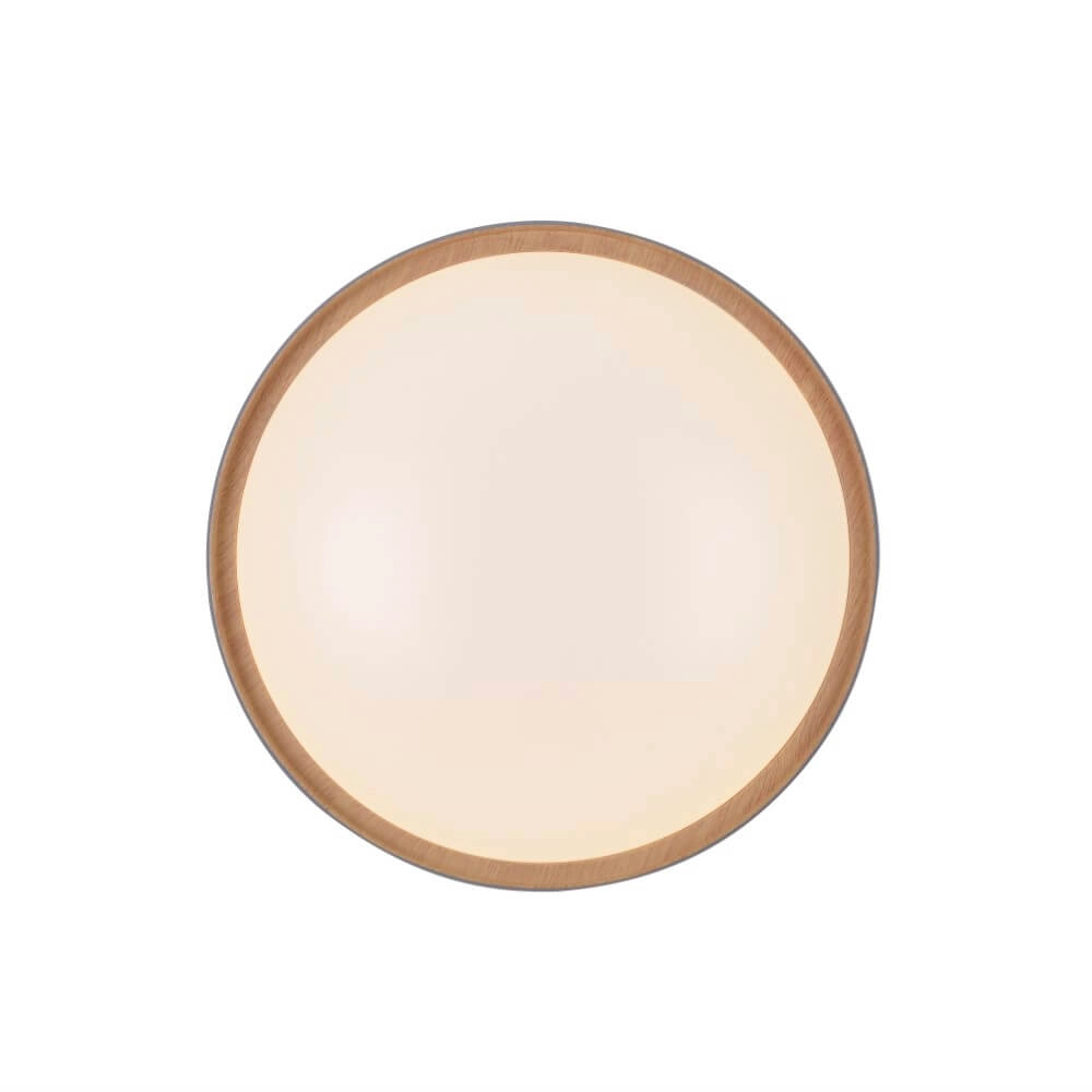 Round ceiling lamp Q-Emilia grey Paul Neuhaus 4012248366530