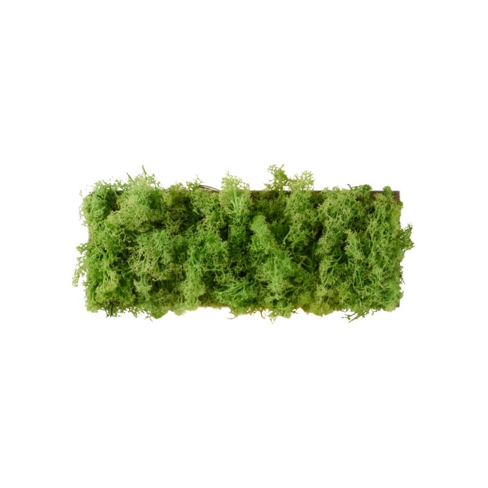 Rectangular ceiling lamp Green Carlo with moss Just Light 4043689994853
