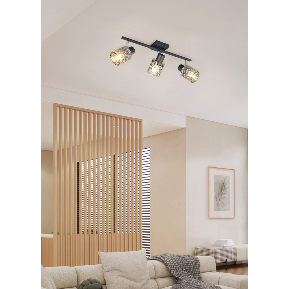 Ceiling lamp Jack black 3-lights Trio 4017807643879