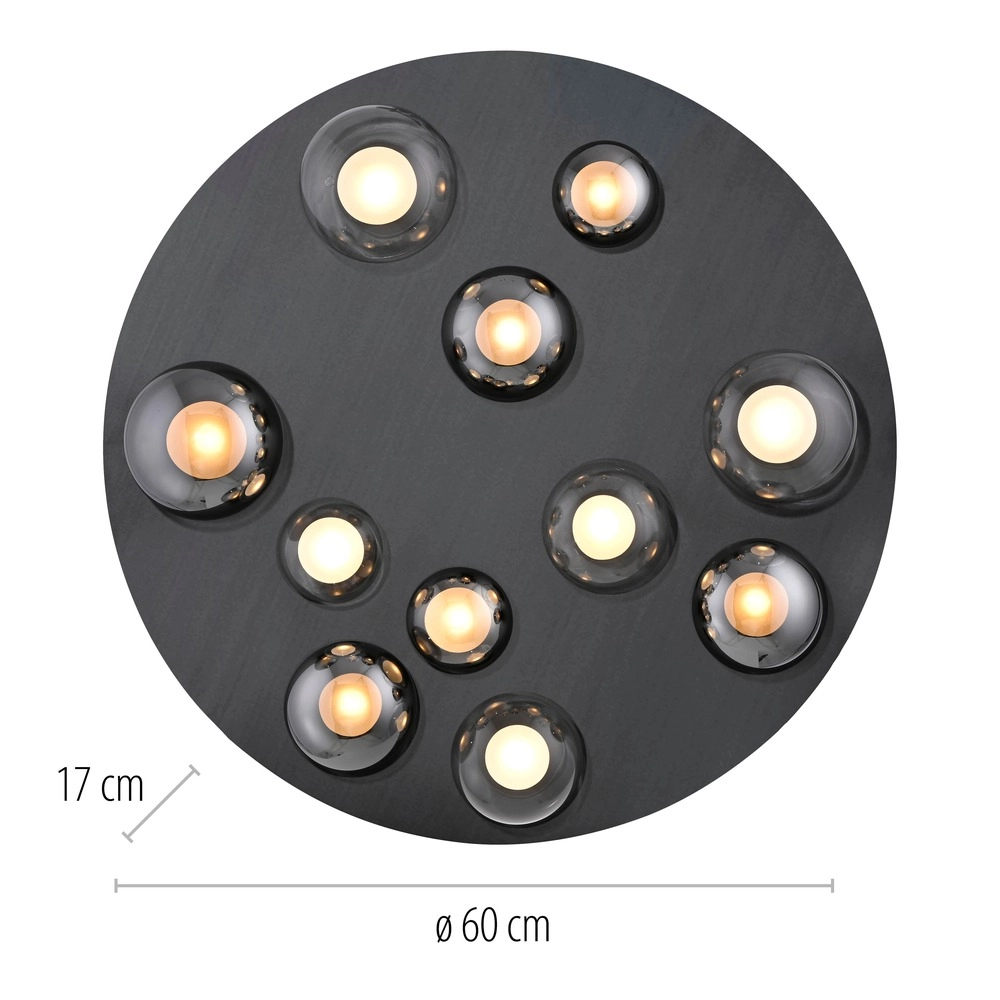 11-light ceiling lamp Pure Popup Mystic grey with smoke glass Paul Neuhaus 4012248397176