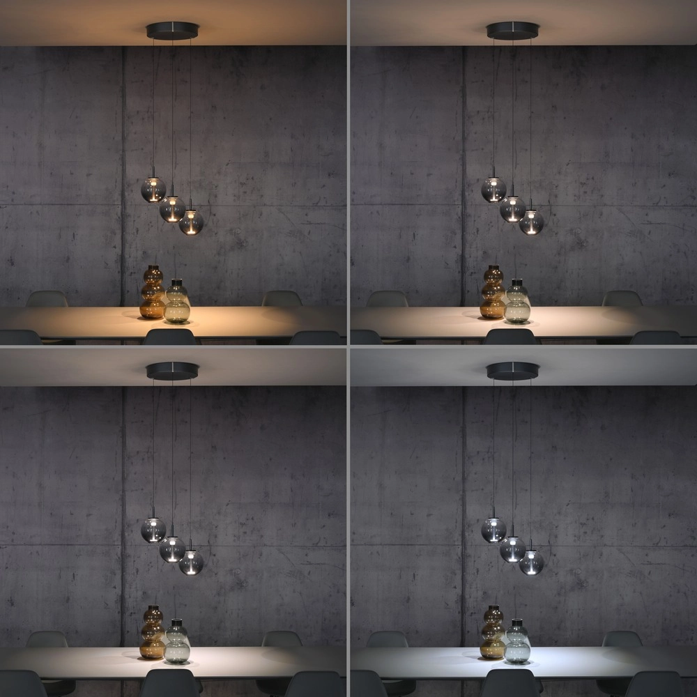 Vide pendant lamp Pure E-Infinty Mystic Grey with smoke glass Paul Neuhaus 4012248398173