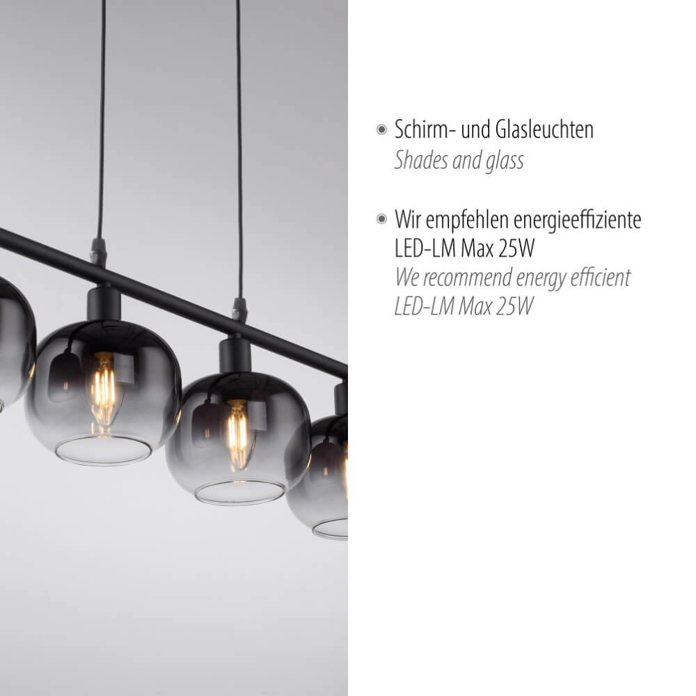 Black pendant lamp Zea 4-light Just Light 4043689993757